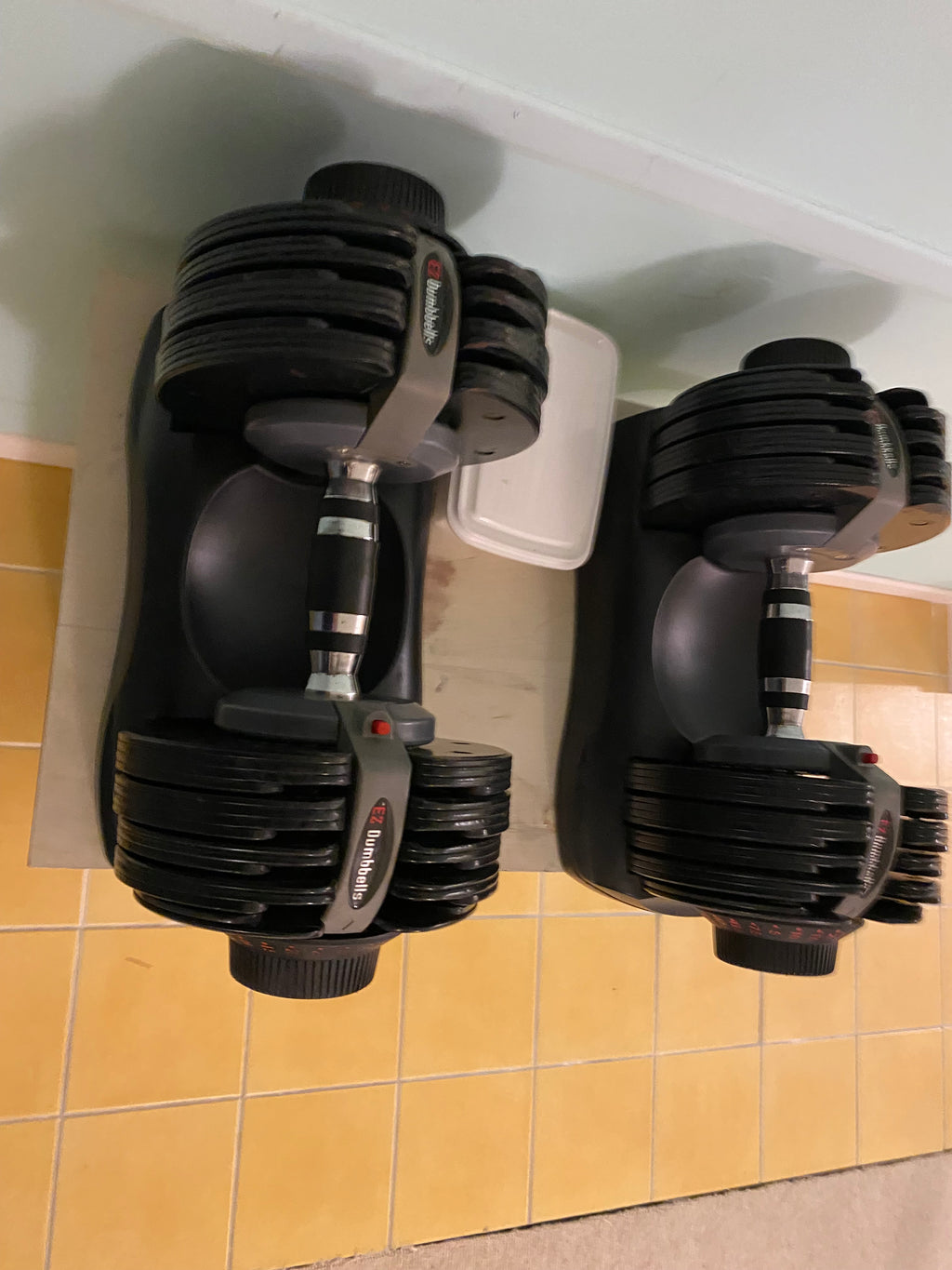 EZ Dumbbell (pair)