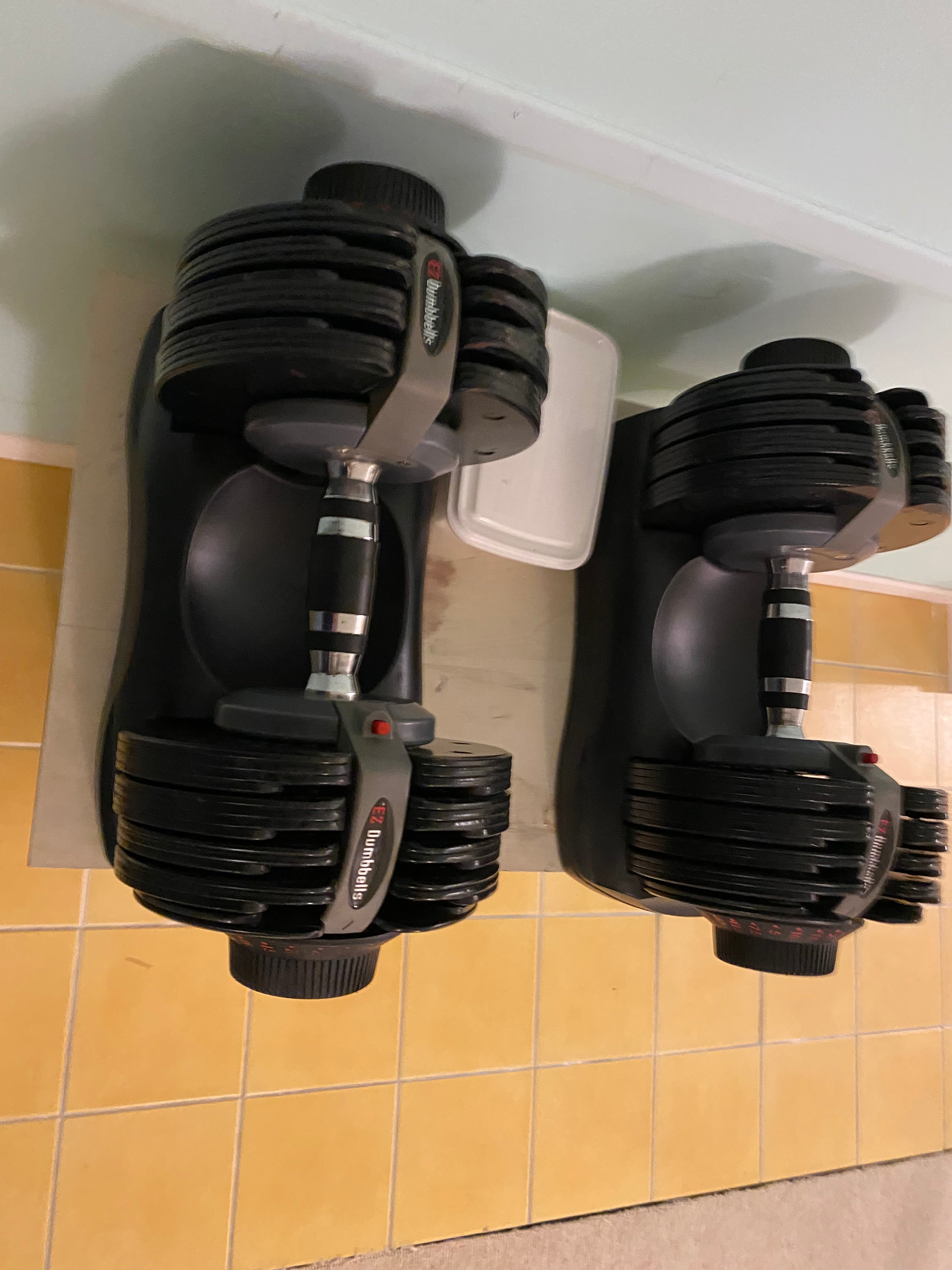 EZ Dumbbell (pair)