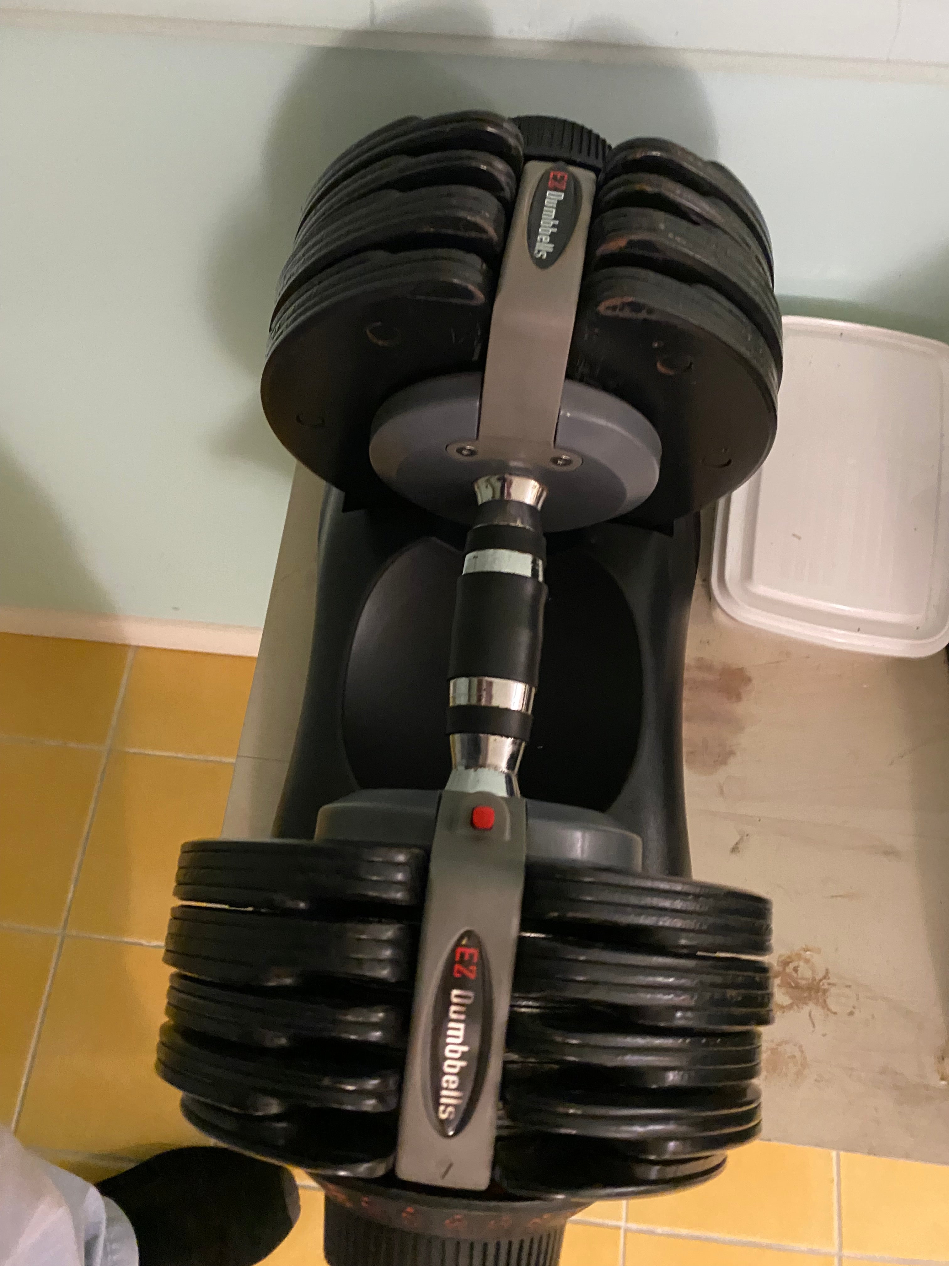 EZ Dumbbell (pair)